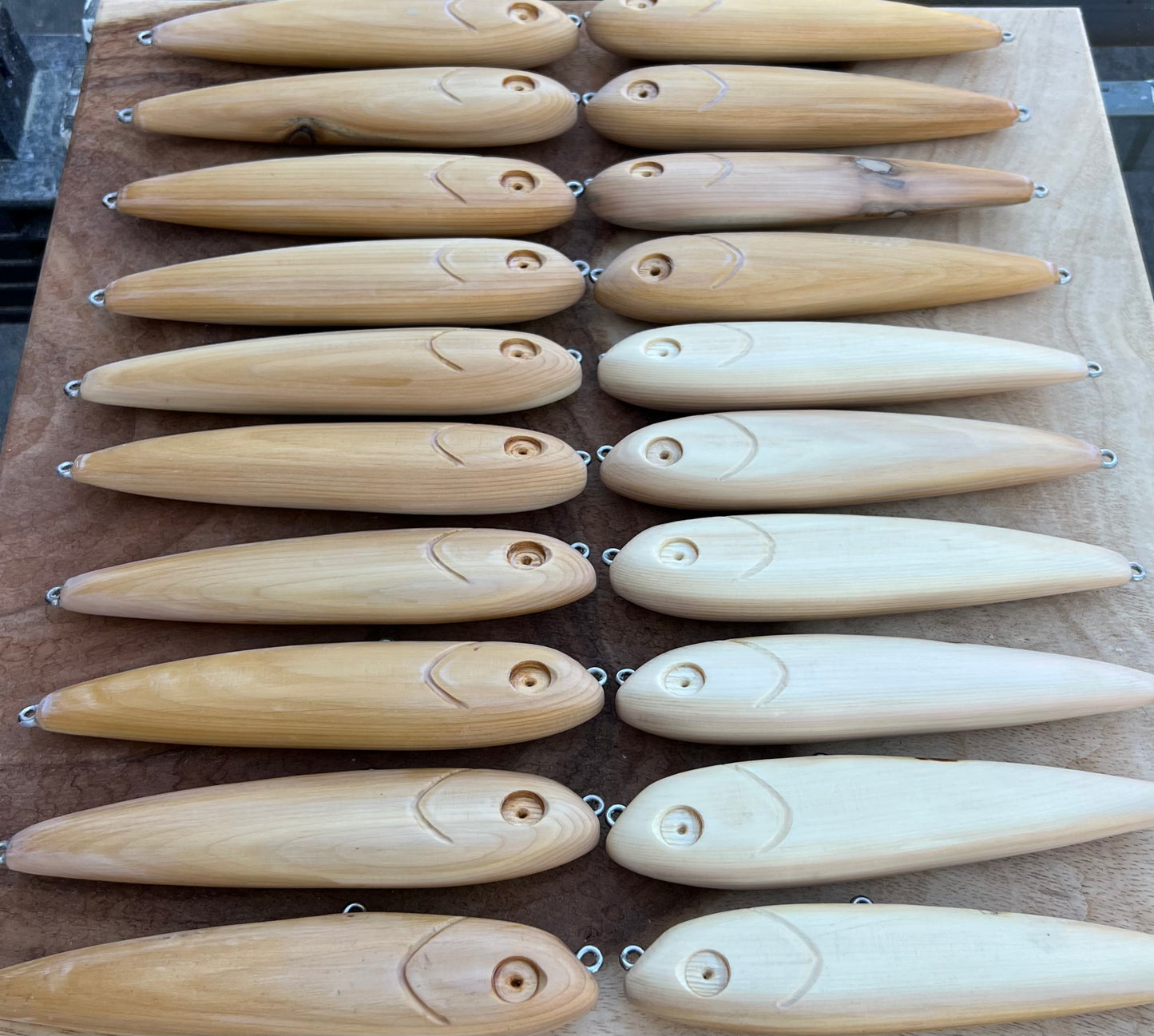 Bait Expo Rise and Glide