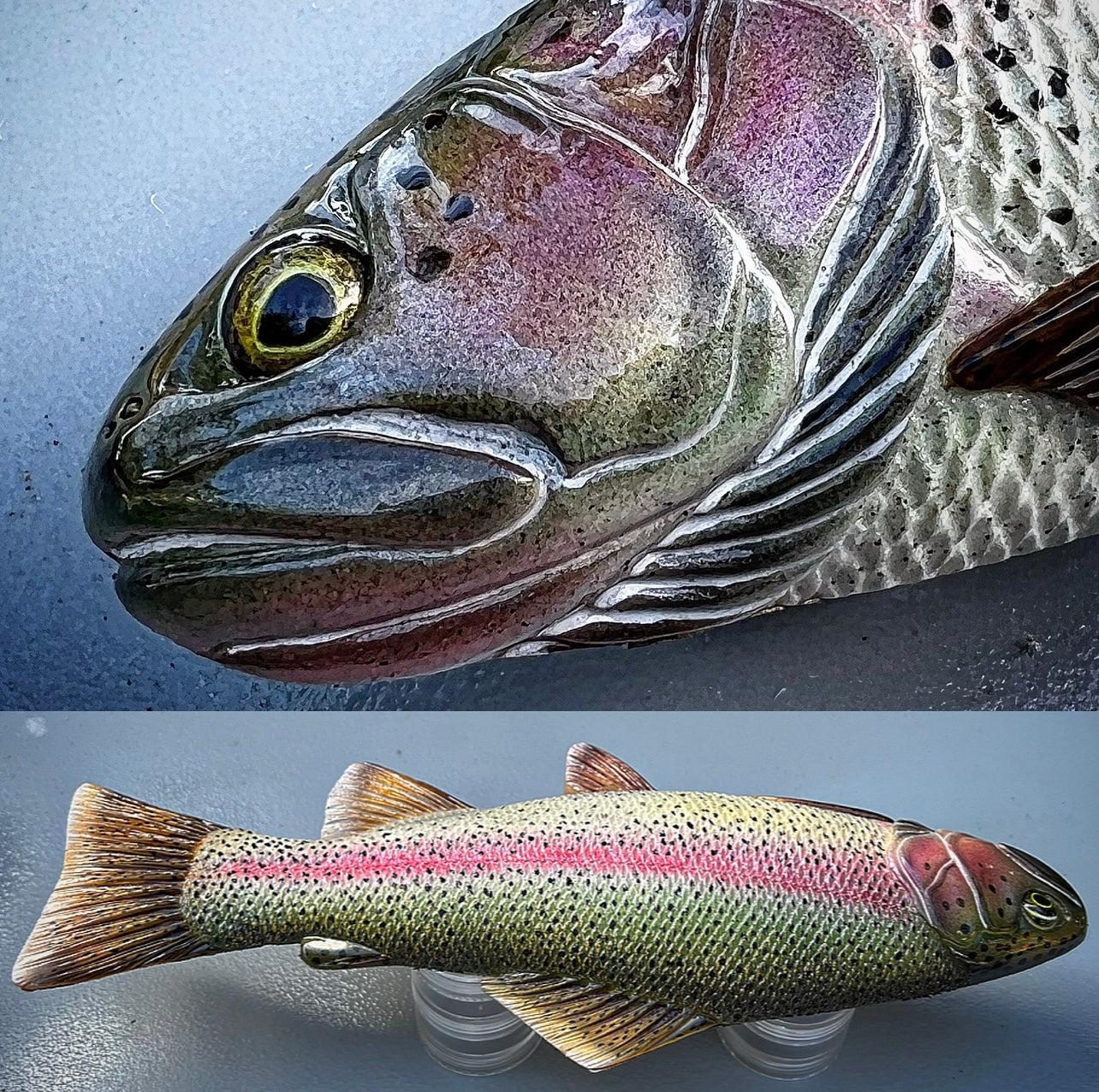 Rainbow Trout Study Cast Painted
