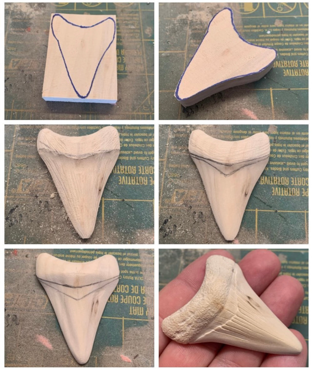 Megalodon Tooth Pendant