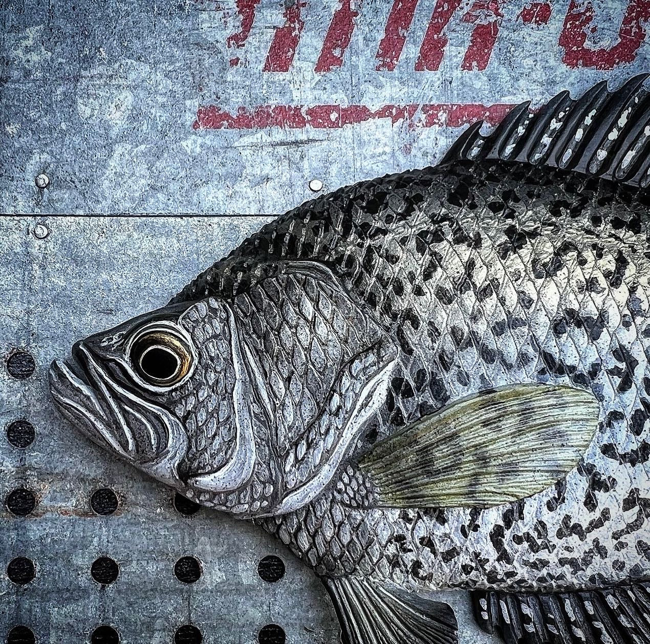 Black Crappie framed hanger