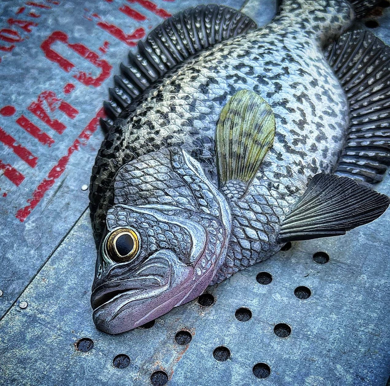 Black Crappie framed hanger