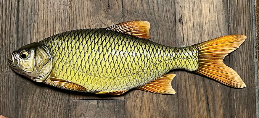 Live Bait Sign
