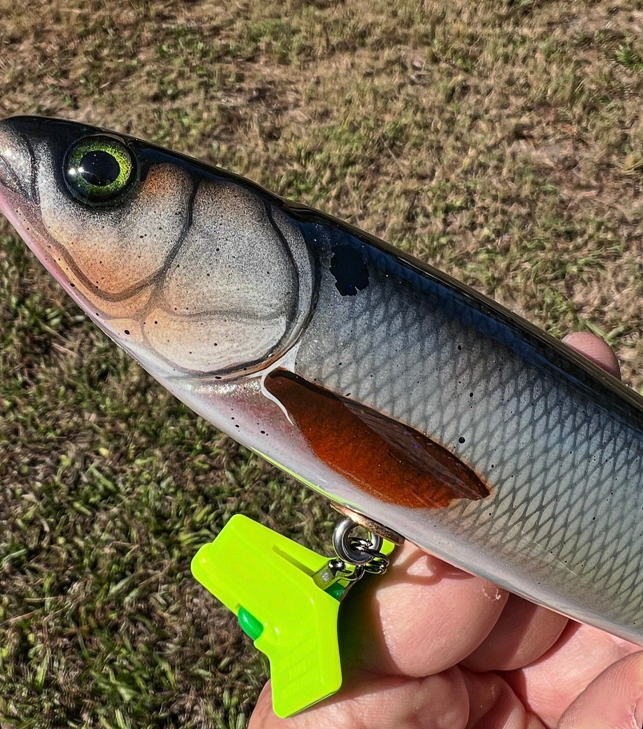 9” wood carved walking bait