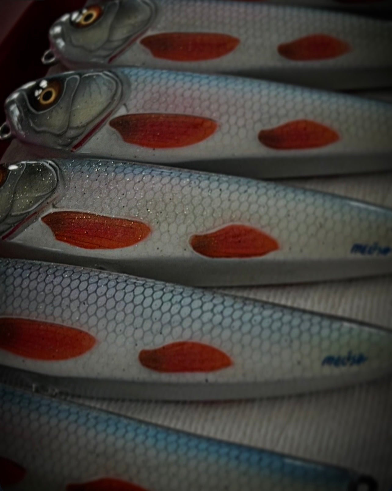 Bait Expo Rise and Glide