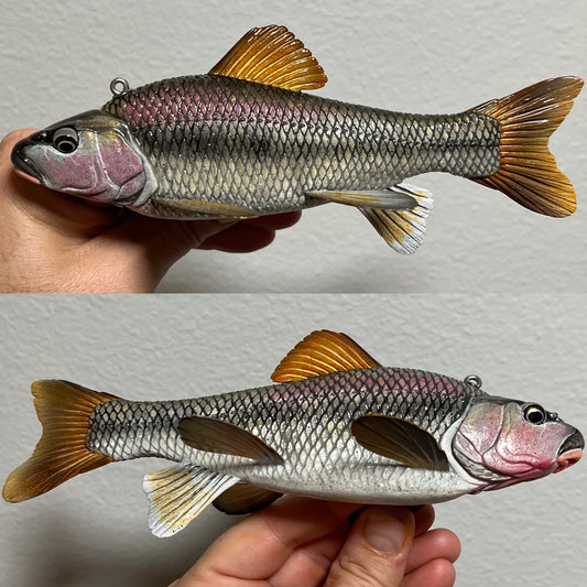 7 3/4” Lake Chub Sucker fish decoy