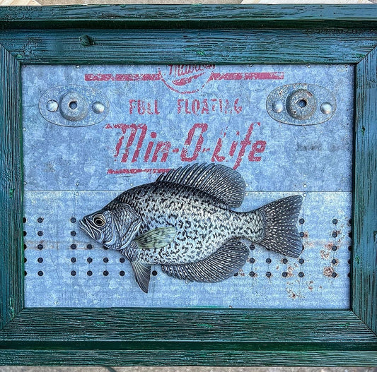 Black Crappie framed hanger